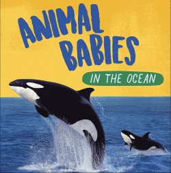 ANIMAL BABIES IN THE OCEAN