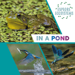 IN A POND