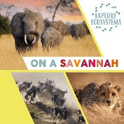 ON A SAVANNAH