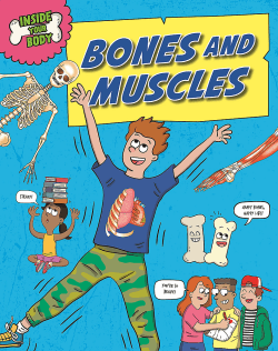 BONES AND MUSCLES