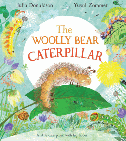 WOOLLY BEAR CATERPILLAR, THE
