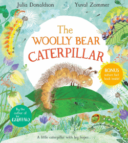 WOOLLY BEAR CATERPILLAR, THE
