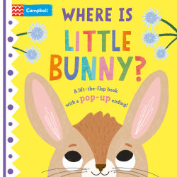 WHERE IS LITTLE BUNNY? BOARD BOOK