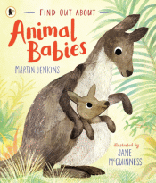 ANIMAL BABIES