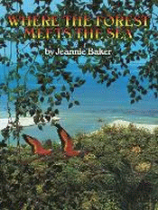 WHERE THE FOREST MEETS THE SEA ANNIVERSARY EDITION