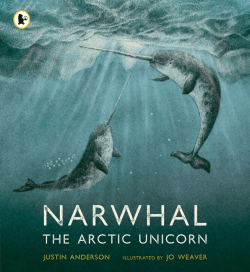 NARWHAL: THE ARCTIC UNICORN