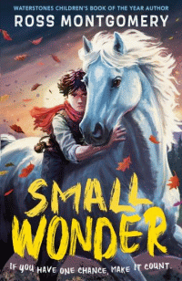 SMALL WONDER