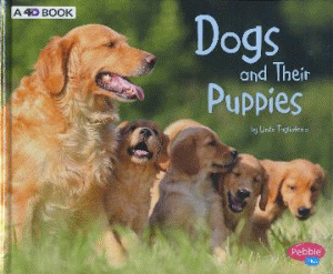 DOGS AND THEIR PUPPIES