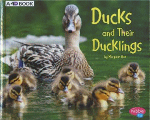 DUCKS AND THEIR DUCKLINGS