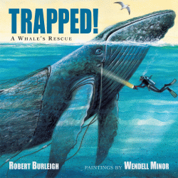 TRAPPED! A WHALE'S RESCUE