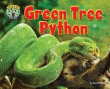 GREEN TREE PYTHON