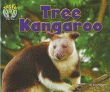 TREE KANGAROO