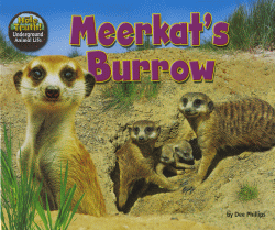 MEERKAT'S BURROW