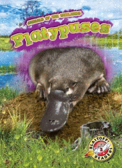 PLATYPUSES