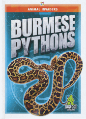 BURMESE PYTHONS