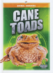 CANE TOADS