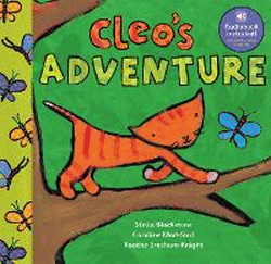 CLEO'S ADVENTURE BOARD BOOK