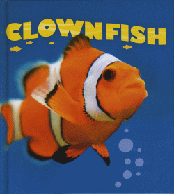 CLOWNFISH