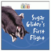 SUGAR GLIDER'S FIRST FLIGHT