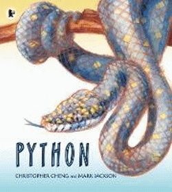 PYTHON