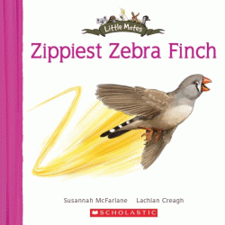 ZIPPIEST ZEBRA FINCH
