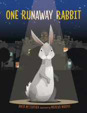 ONE RUNAWAY RABBIT