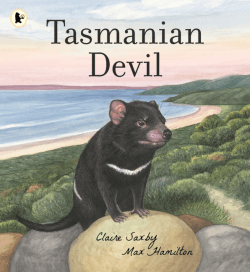 TASMANIAN DEVIL