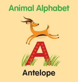 ANIMAL ALPHABET BOARD BOOK