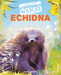 ECHIDNA