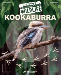 KOOKABURRA