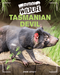 TASMANIAN DEVIL
