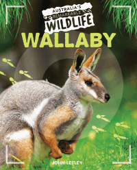 WALLABY