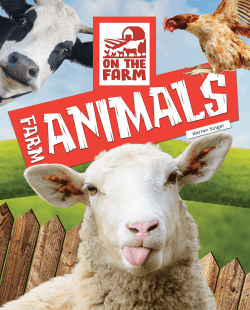 FARM ANIMALS