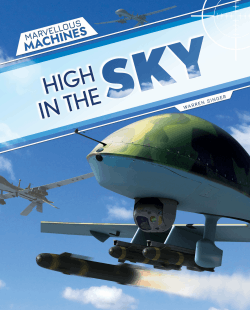 HIGH IN THE SKY
