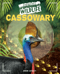 CASSOWARY