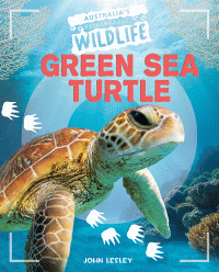 GREEN SEA TURTLE