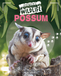 POSSUM