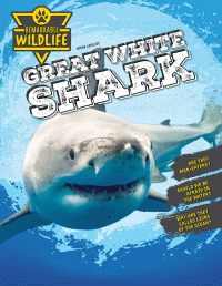 GREAT WHITE SHARK