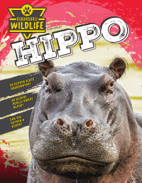 HIPPO
