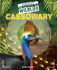 CASSOWARY