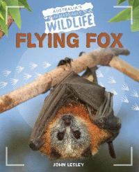 FLYING FOX
