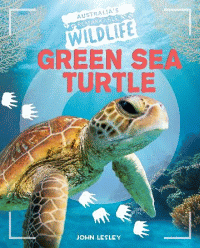 GREEN SEA TURTLE