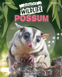 POSSUM