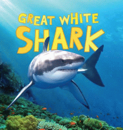 GREAT WHITE SHARK
