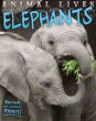 ELEPHANTS