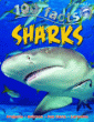 SHARKS