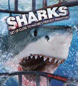 SHARKS: GET UP CLOSE TO NATURE'S FIERCEST PREDATOR
