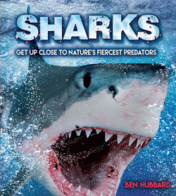 SHARKS: NATURE'S FIERCEST PREDATORS