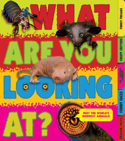WHAT ARE YOU LOOKING AT?