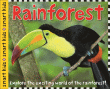 RAINFOREST